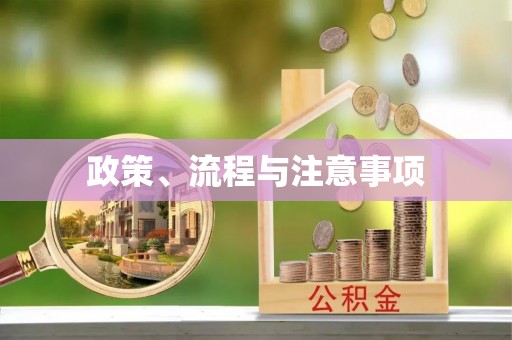 镇沅政策、流程与注意事项
