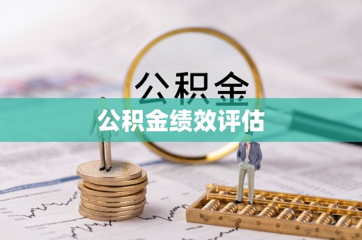 镇沅公积金绩效评估