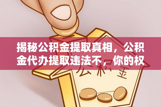 镇沅揭秘公积金提取真相，公积金代办提取违法不，你的权益如何保障？
