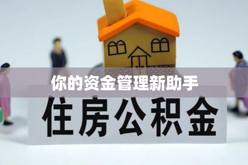 镇沅你的资金管理新助手