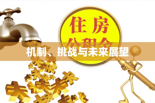 镇沅机制、挑战与未来展望
